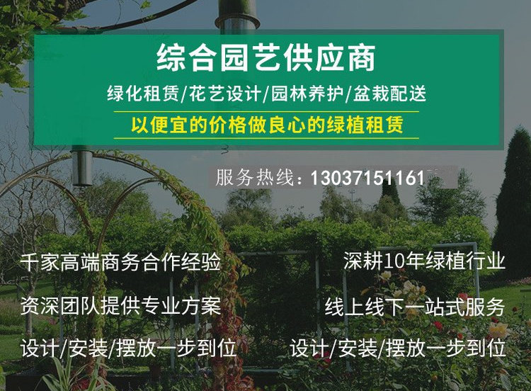 让半夏园林成为湖北地区花卉行业的领跑者