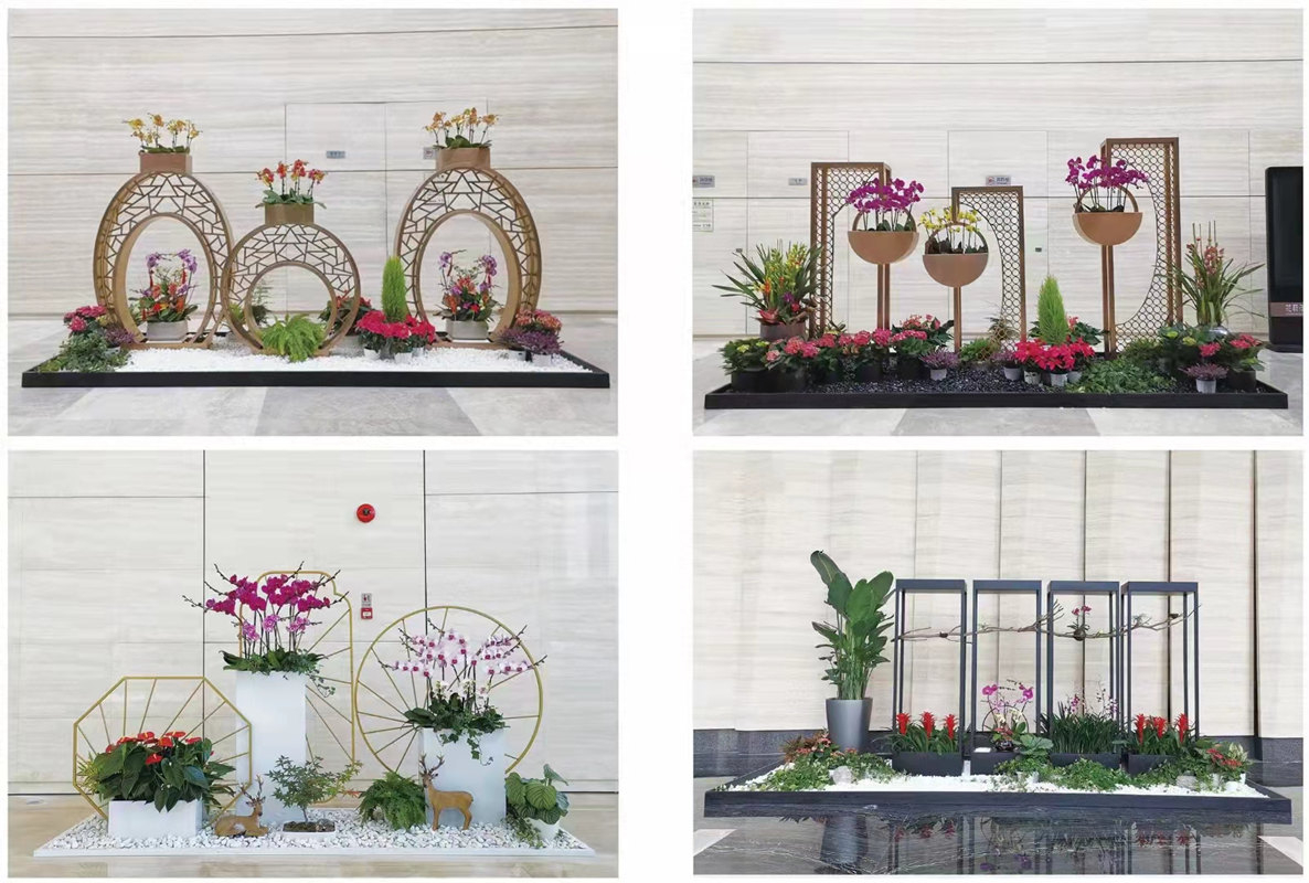 写字楼大厅高档花卉景观租摆设计