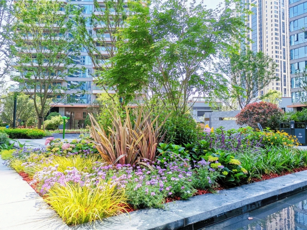 公司拥有专业化规范化的绿化养护团队